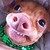 :iconrichardjoaquim: