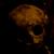 :iconrichardmortis: