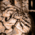 :iconrichards540: