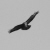 RichLittlePoorBoy :iconrichlittlepoorboy: