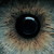 :iconrick-gd: