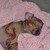 :iconricket-192: