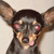 :iconrickpsd: