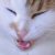 :iconrickxard: