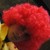 :iconrickylionheart: