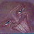 :iconricoseven: