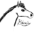 :iconridaaja: