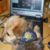 :iconriddlecreek: