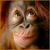 :iconriddlemeover: