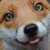 :iconriddlerenigma: