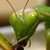 :iconride-the-snake:
