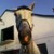 :iconrider-girl95: