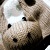 :iconriderwithapencil:
