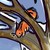 :iconridgeberries: