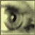:iconridingthecarousel: