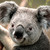 :iconriegrot94: