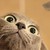:iconriftling:
