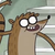 :iconrigbytehraccoon: