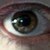 :iconrighteousfury: