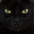 rigo92 :iconrigo92: