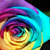 :iconrihne: