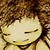 :iconriicolaa: