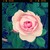 :iconriislovemusic: