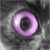 :iconrika84: