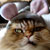:iconrikchikchik:
