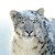 :iconriker1321: