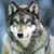 Rikiwulf :iconrikiwulf: