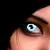 :iconrikka16: