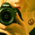 rikkilynn :iconrikkilynn:
