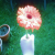 :iconrikku474: