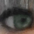 :iconrikku736:
