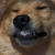 :iconRikutarded: