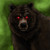 :iconrime-deviant: