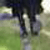 :iconrimm: