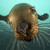 :iconrinadark12: