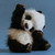 :iconrinamaharani123: