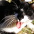 :iconrinbowcookiemonster: