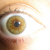 :iconRinder: