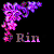 :iconrindeseyu: