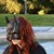 :iconringoluvapples: