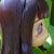 :iconrinkun:
