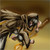 :iconrinoa159: