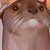 :iconrio38: