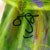 :iconRioko-c: