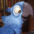 :iconrionico: