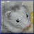 :iconrionnac: